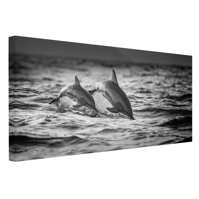schwarz-weiß Bilder auf Leinwand Zwei springende Delfine