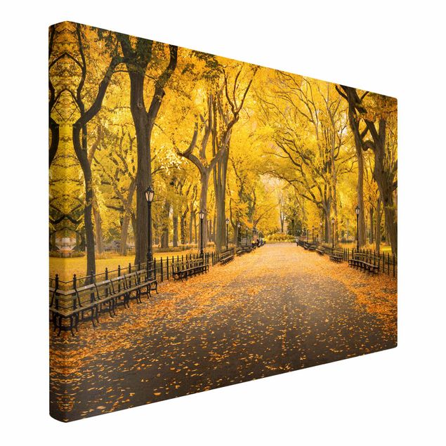 Leinwandbilder Städte Herbst im Central Park