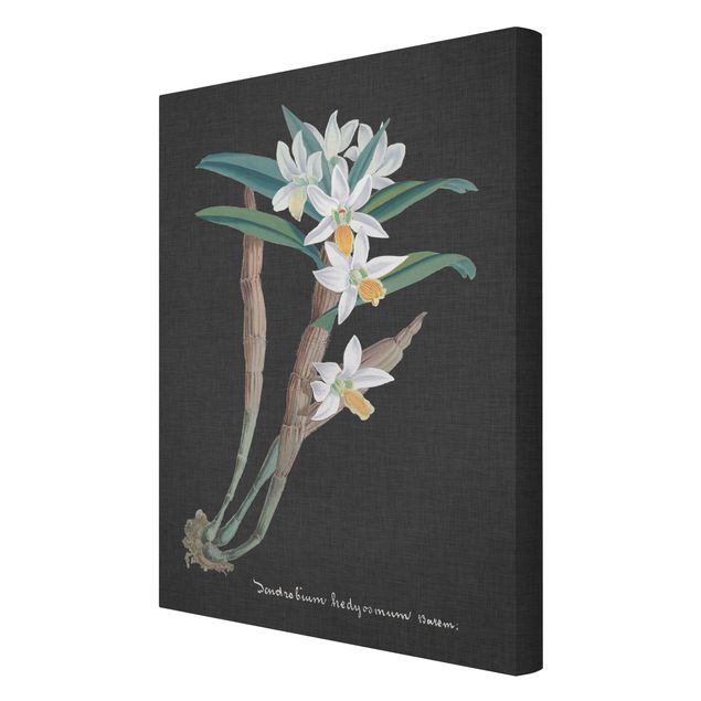Wandbilder Blumen Weiße Orchidee auf Leinen I