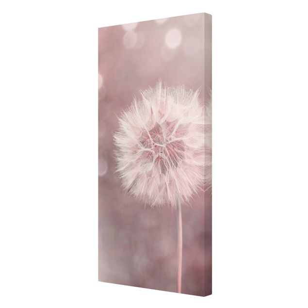 Wandbilder Floral Pusteblume Bokeh rosa