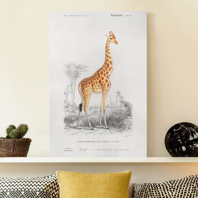 Küche Dekoration Vintage Lehrtafel Giraffe