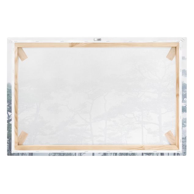 Wandbilder Grau Baumkronen im Nebel