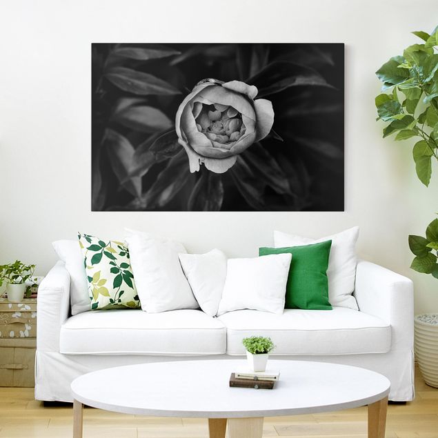 schwarz-weiß Bilder auf Leinwand Pfingstrosenblüte vor Blättern Schwarz Weiß