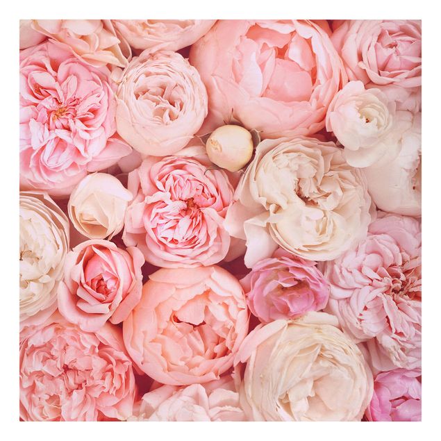 Wandbilder Blumen Rosen Rosé Koralle Shabby