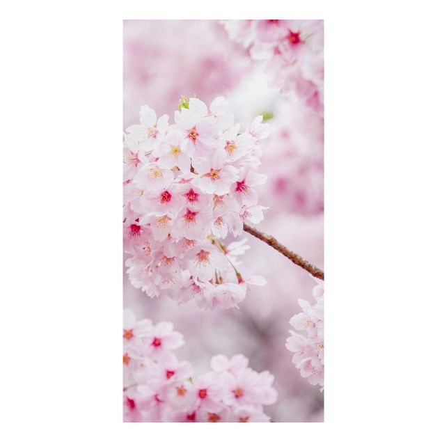 Skyline Leinwand Japanische Kirschblüten