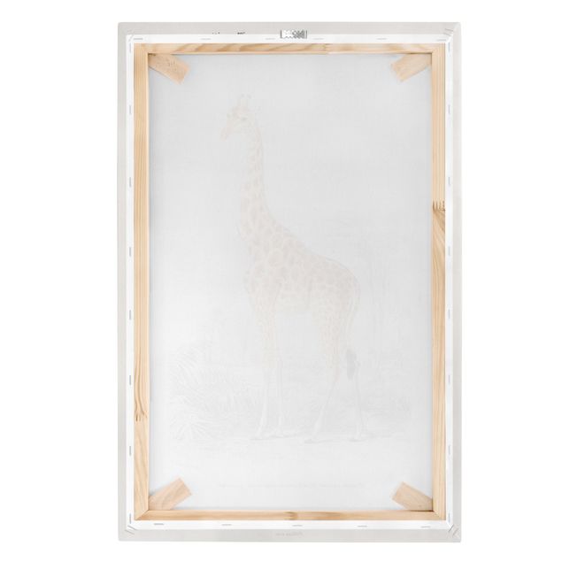 Wandbilder Gelb Vintage Lehrtafel Giraffe