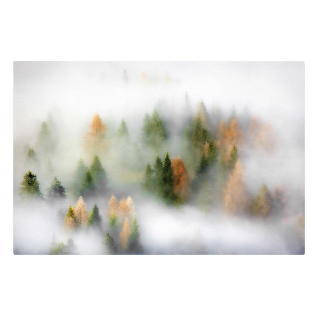 Leinwandbilder Wald Nebelwald im Herbst