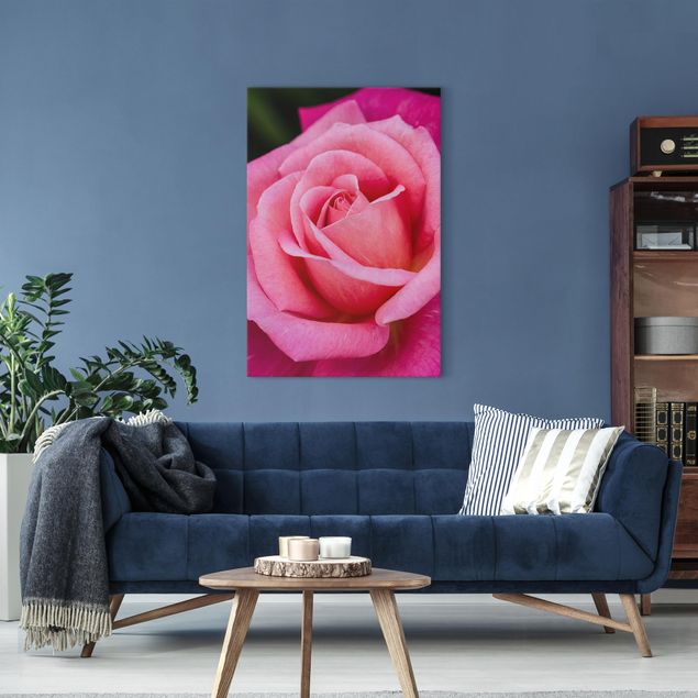 Blumenbilder auf Leinwand Pinke Rosenblüte vor Grün