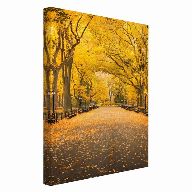 Skyline Leinwandbild Herbst im Central Park