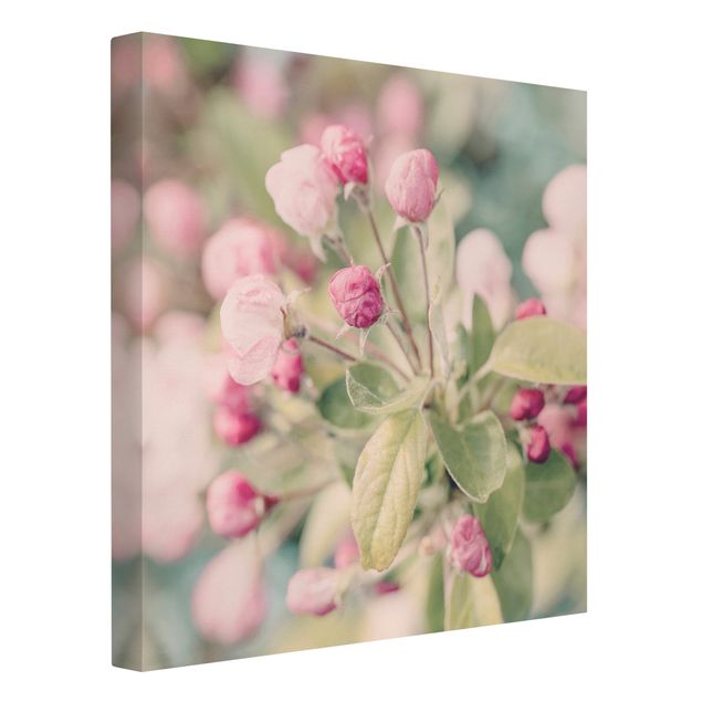 Wandbilder Blumen Apfelblüte Bokeh rosa