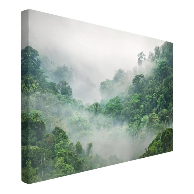 Wandbilder Dschungel Dschungel im Nebel