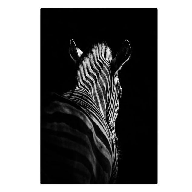 Tierbilder Leinwand Dunkle Zebra Silhouette