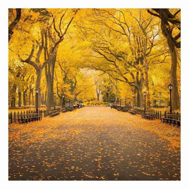 Wandbilder Architektur & Skyline Herbst im Central Park