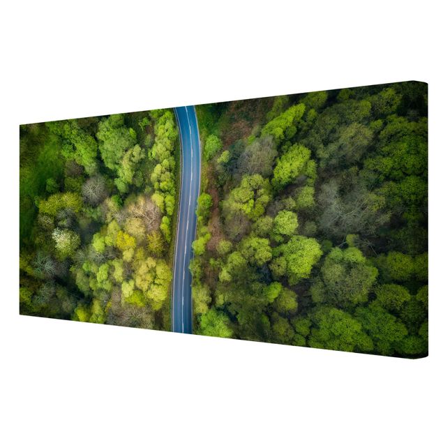 Wandbilder Natur Luftbild - Asphaltstraße im Wald
