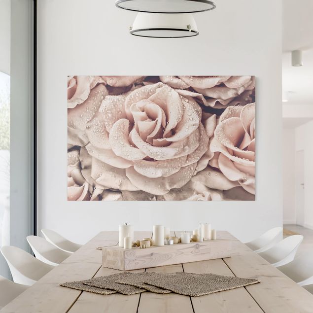 Rosen Bilder auf Leinwand Rosen Sepia mit Wassertropfen