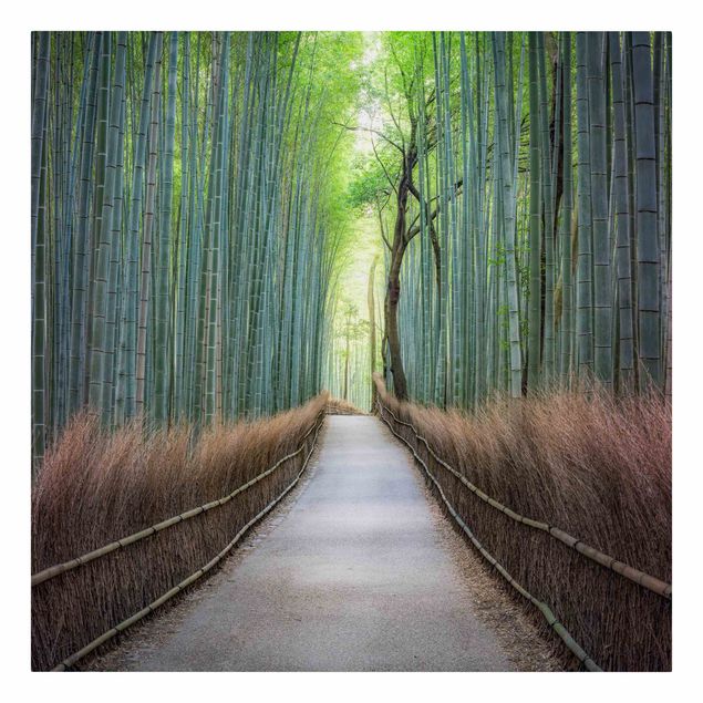 Skyline Leinwandbild Der Weg durch den Bambus