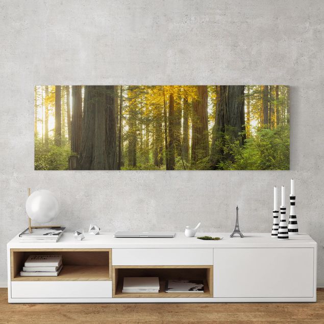 Wandbilder Landschaften Redwood National Park