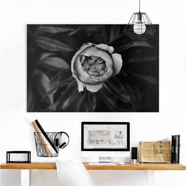 Leinwandbild Rose Pfingstrosenblüte vor Blättern Schwarz Weiß