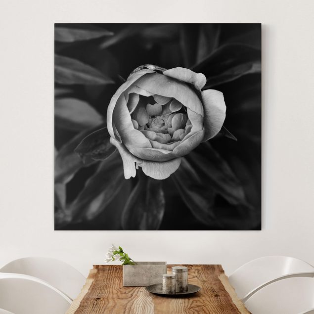 Küche Dekoration Pfingstrosenblüte vor Blättern Schwarz Weiß