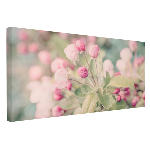 Wandbilder Blumen Apfelblüte Bokeh rosa