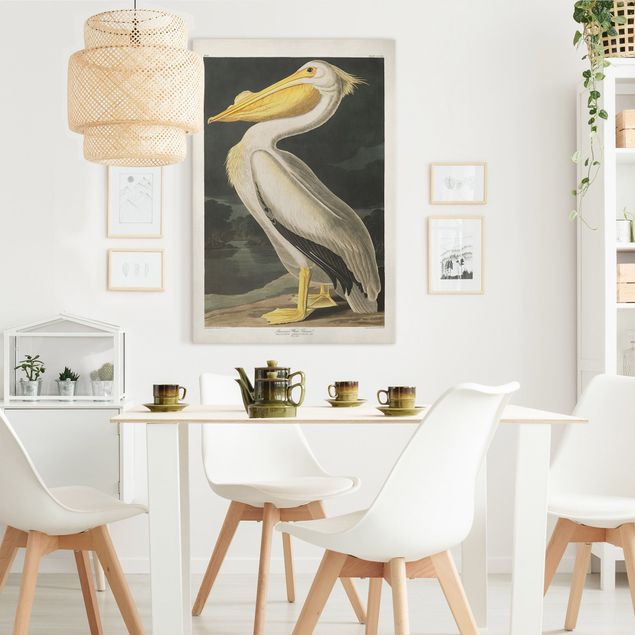 Leinwandbild Vögel Vintage Lehrtafel Weißer Pelikan
