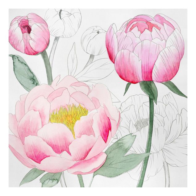 Wandbilder Blumen Zeichnung Rosa Päonien II