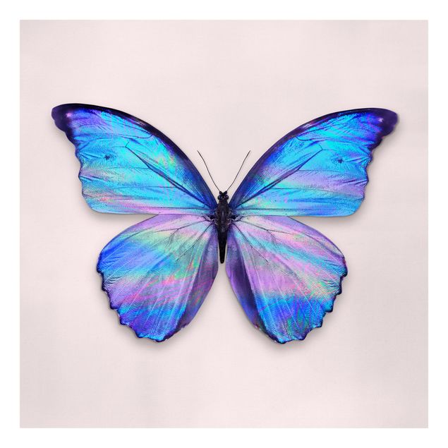 Kunstdrucke auf Leinwand Holografischer Schmetterling