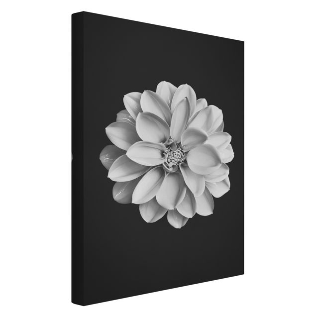Wandbilder Floral Dahlie Schwarz Weiß