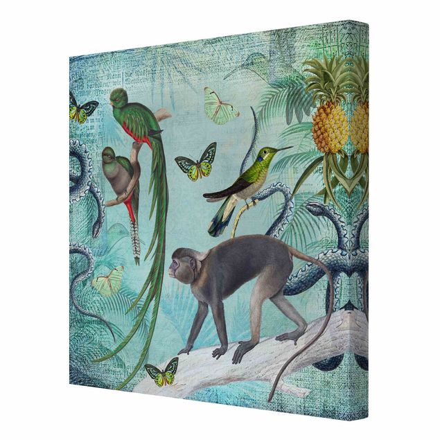 Kunstdrucke auf Leinwand Colonial Style Collage - Äffchen und Paradiesvögel