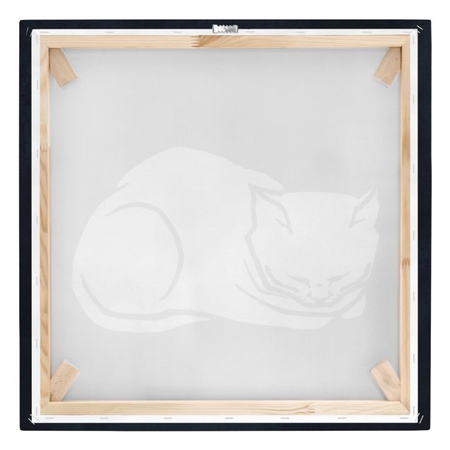 Wandbilder Schwarz-Weiß Schlafende Katze Illustration