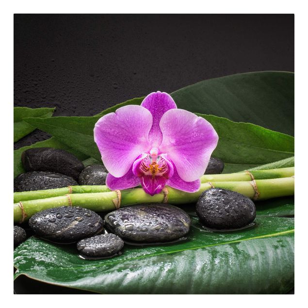Bilder mit Steinen auf Leinwand Grüner Bambus mit Orchideenblüte