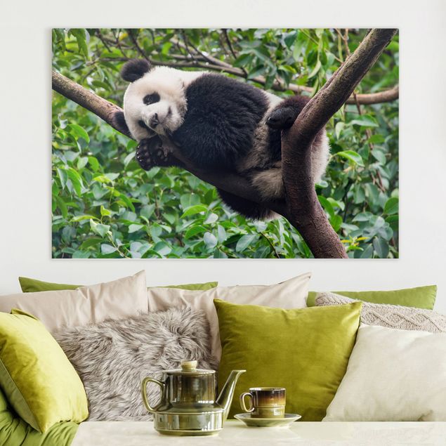 Wanddeko Küche Schlafender Panda auf Ast