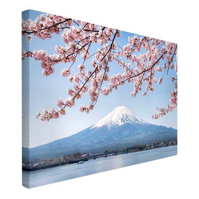 Leinwandbilder Berge Kirschblüten mit Berg Fuji