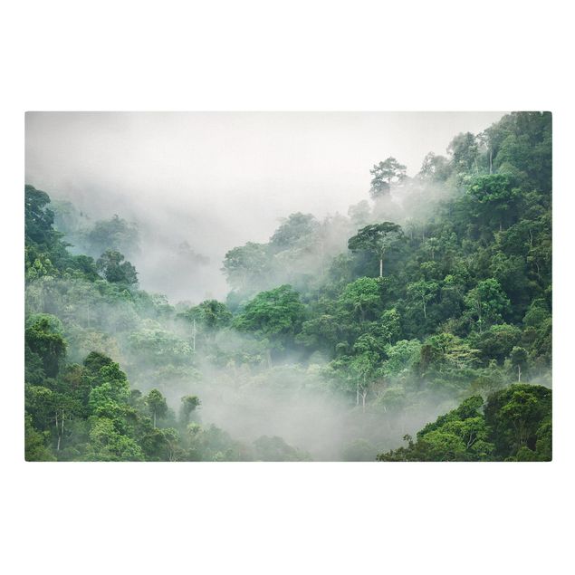 Leinwandbilder Blumen Dschungel im Nebel
