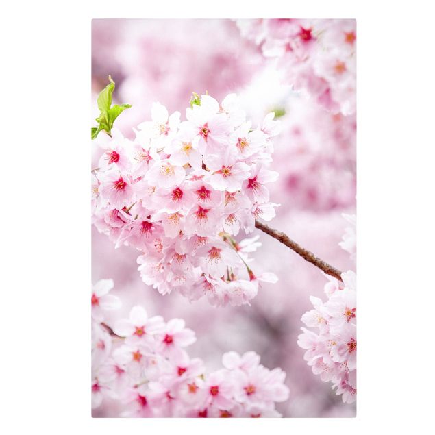 Skyline Leinwandbild Japanische Kirschblüten