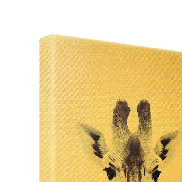Monika Strigel Bilder Giraffen Portrait in Schwarz-weiß