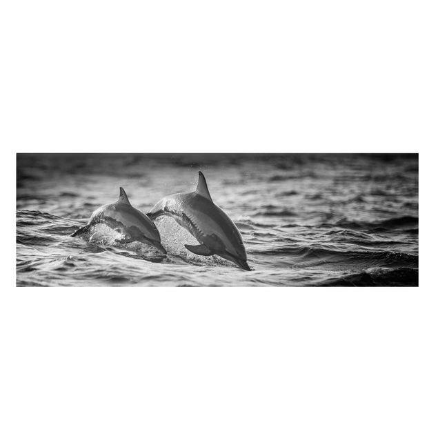 Leinwandbilder Tiere Zwei springende Delfine