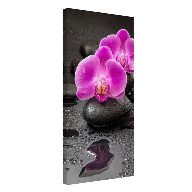 Bilder mit Steinen auf Leinwand Pinke Orchideenblüten auf Steinen mit Tropfen