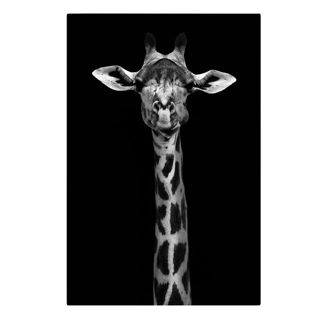 Leinwandbilder Tiere Dunkles Giraffen Portrait