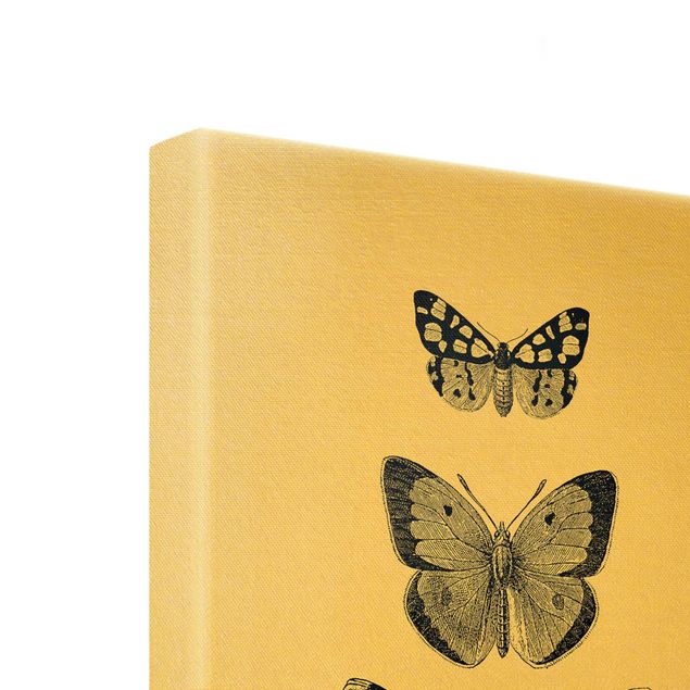 Monika Strigel Bilder Tusche Schmetterlinge auf Beige