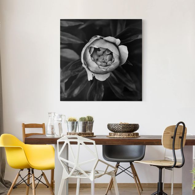 Leinwandbilder Rosen Pfingstrosenblüte vor Blättern Schwarz Weiß