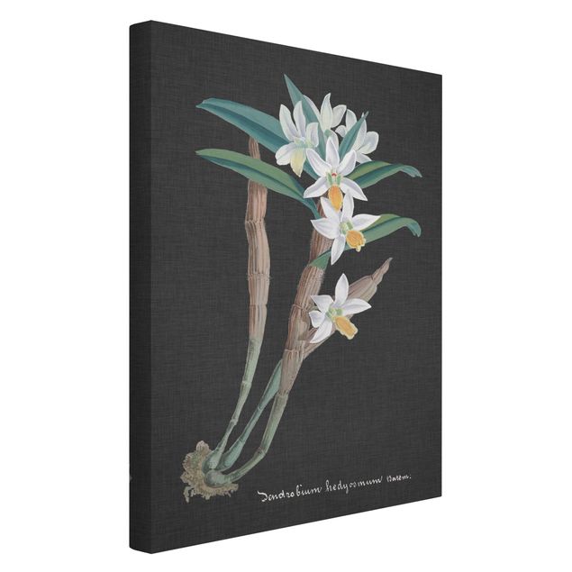 Blumenbilder auf Leinwand Weiße Orchidee auf Leinen I