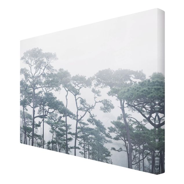 Wandbilder Natur Baumkronen im Nebel