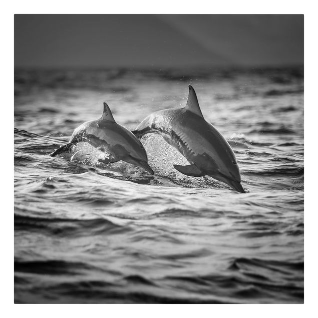 Leinwand Tiere Zwei springende Delfine