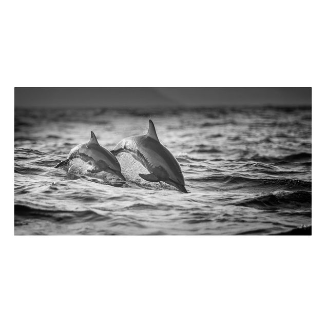 Tierbilder Leinwand Zwei springende Delfine