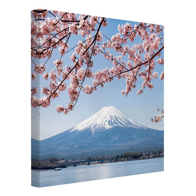 Leinwandbilder Berge Kirschblüten mit Berg Fuji