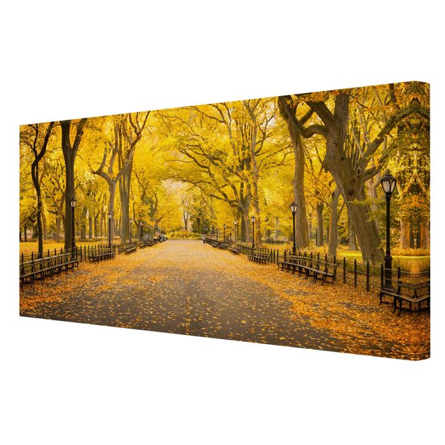Wandbilder Modern Herbst im Central Park