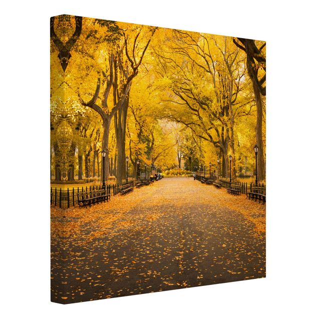 Skyline Leinwand Herbst im Central Park