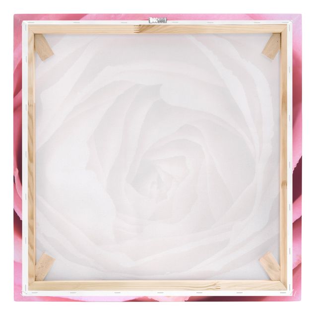 Wandbilder Rosa Rosenblüte