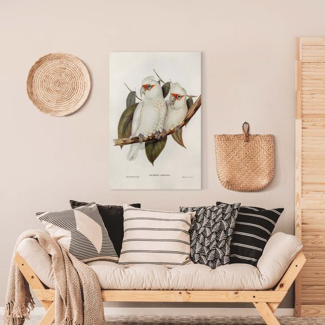 Leinwandbild Vögel Vintage Illustration Weißer Kakadu